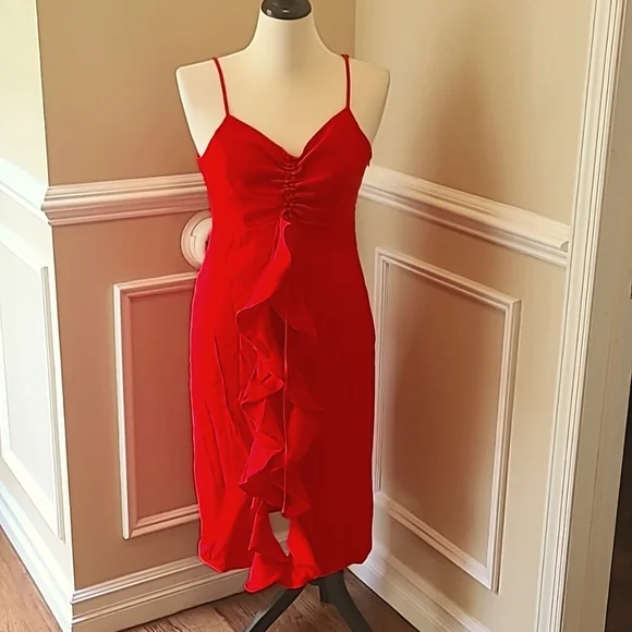 olive oil red wine vinegar dijon dressing Primavera Couture 4409 size 00 Red Homecoming Cocktail Dress Glass Slipper Formals